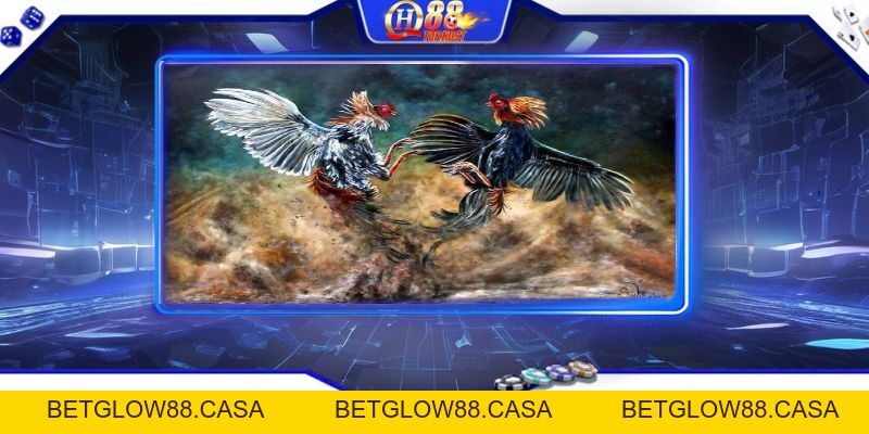Campuchia Đá Gà Qh88 - Trải Nghiệm Đá Gà Uy Tín, Kịch Tính Nhất - Betglow88
