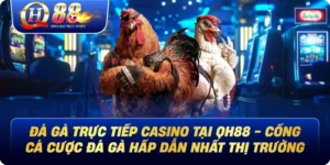Đá Gà Qh88 - Sảnh Chơi Đá Gà Chất Lượng Nhất Châu Á - Betglow88
